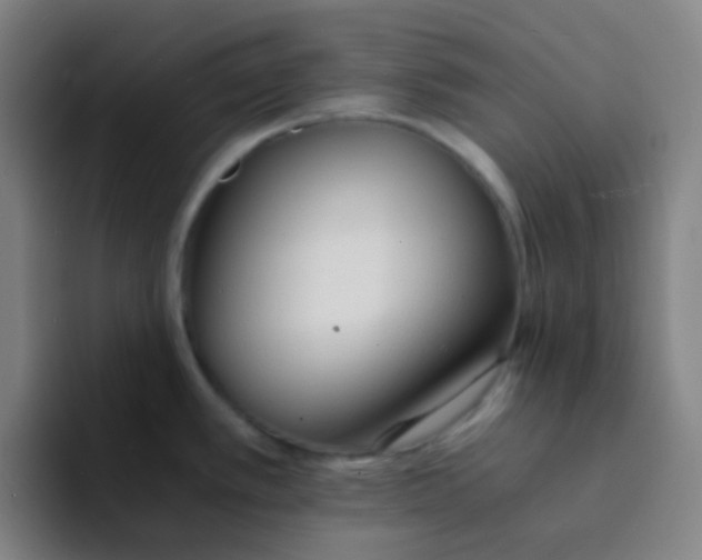 X0000094321389200711161920