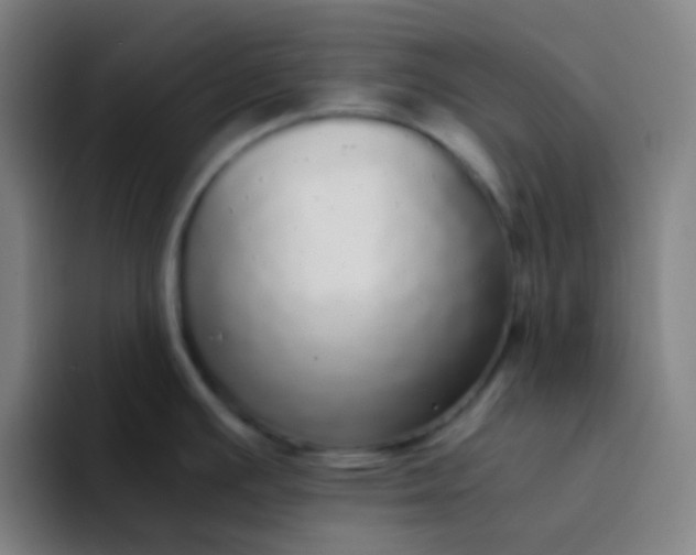 X0000094321391200711161920