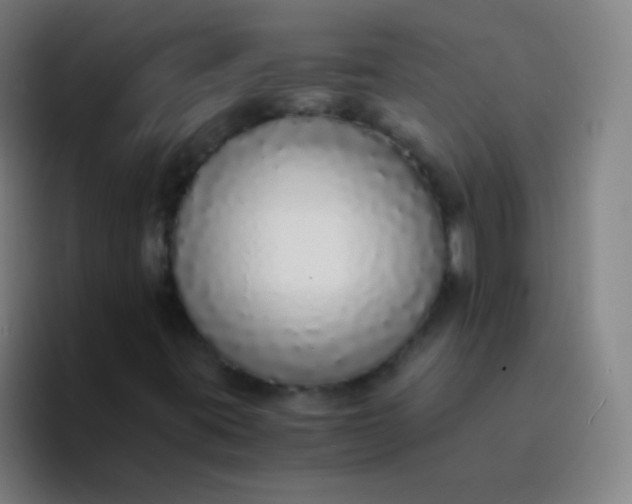 X0000094321395200711161920