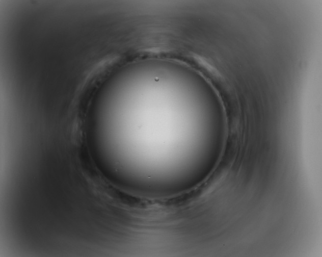 X0000094321398200711161920