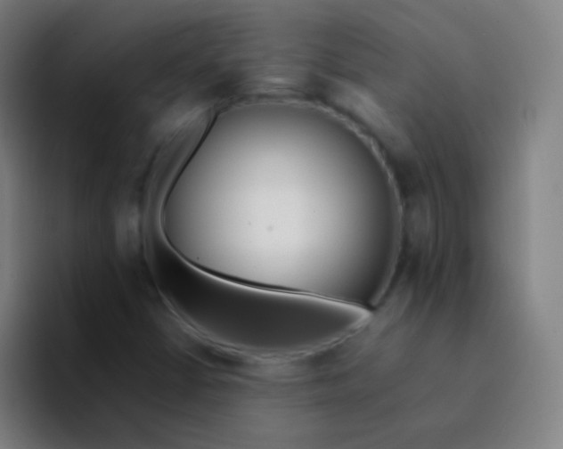 X0000094321402200711161920