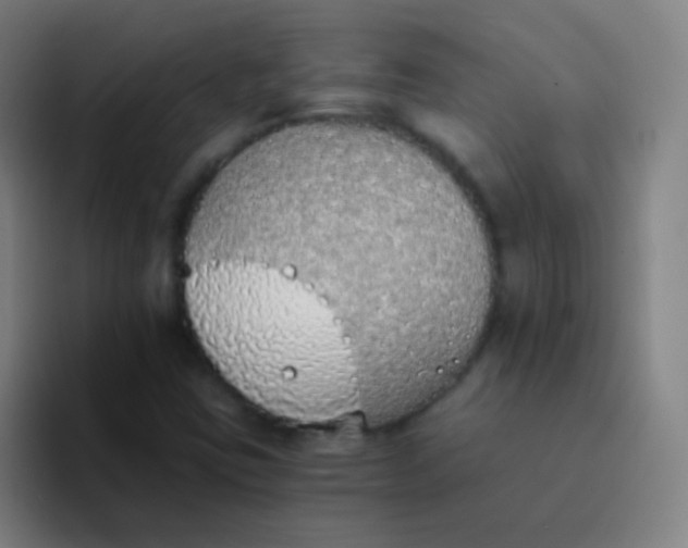 X0000094321403200711161920