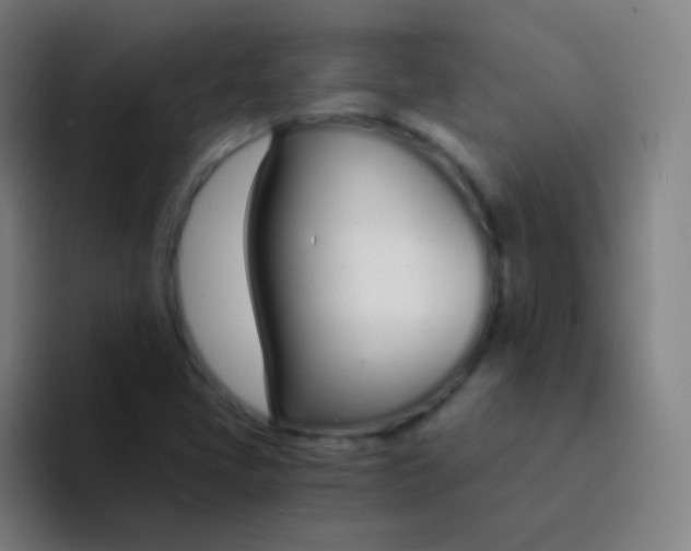 X0000094321405200711161920