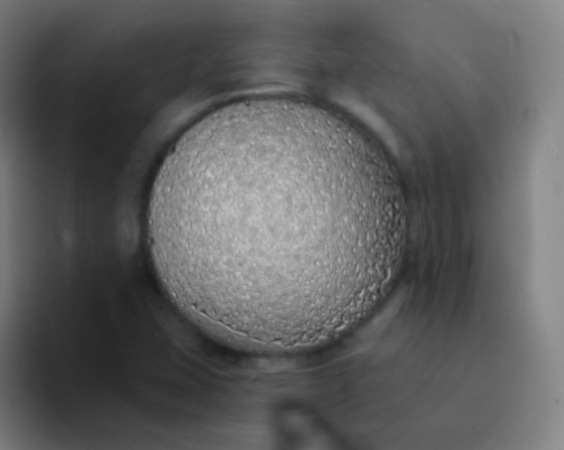 X0000094321407200711161920