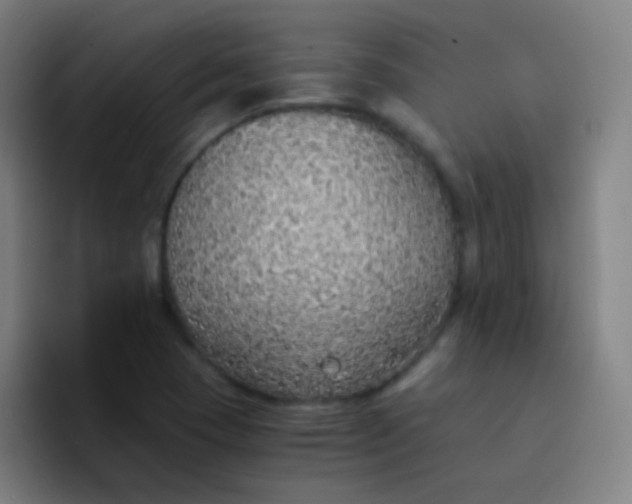 X0000094321409200711161920