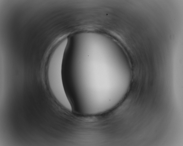X0000094321410200711161920