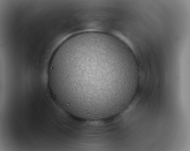 X0000094321415200711161920