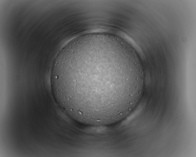 X0000094321417200711161920