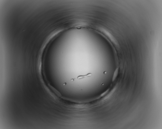 X0000094321418200711161920