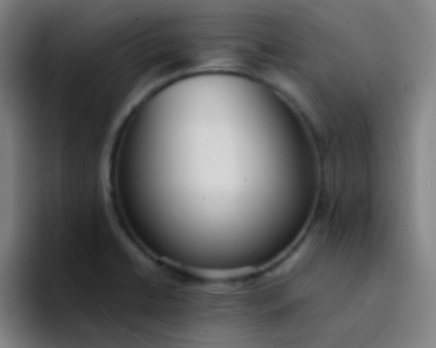X0000094321422200711161920