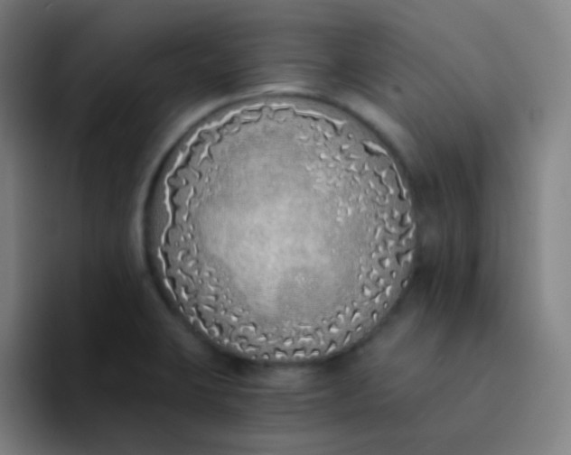 X0000094321423200711161920