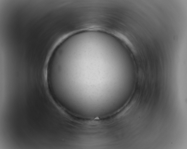 X0000094321424200711161920