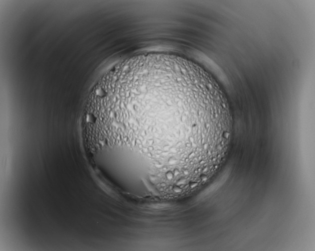 X0000094321425200711161920