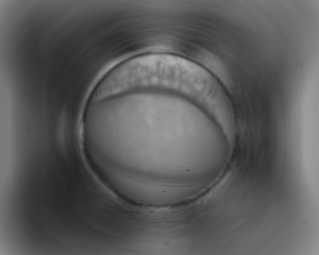 X0000094321428200711161920