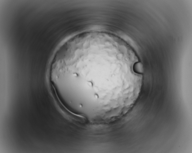 X0000094321429200711161920