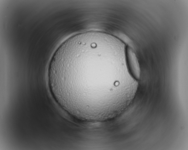 X0000094321431200711161920