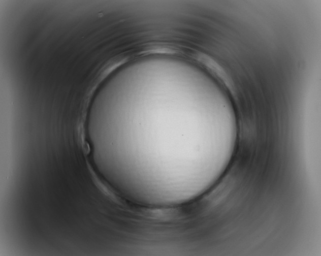 X0000094321433200711161920