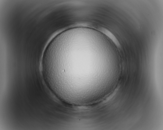 X0000094321436200711161920