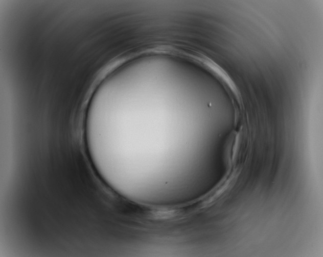 X0000094321437200711161920