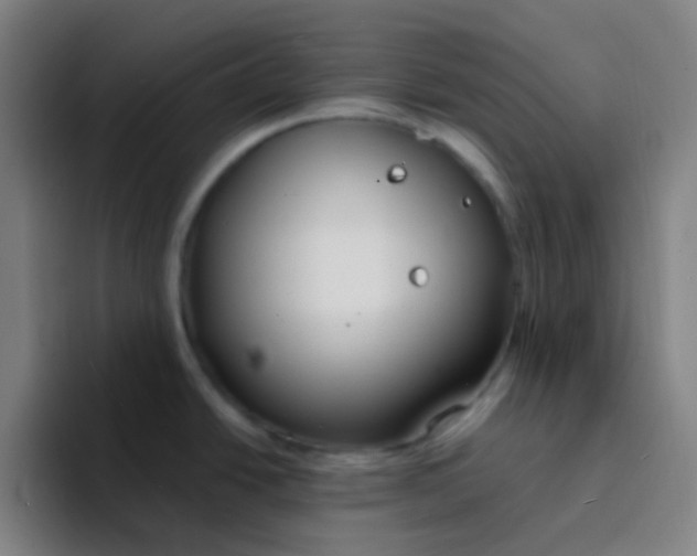X0000094321438200711161920