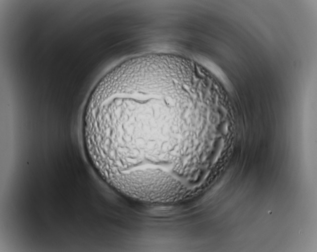 X0000094321439200711161920