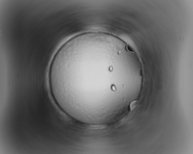 X0000094321440200711161920