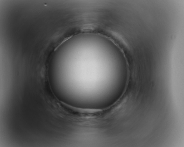 X0000094321445200711161920