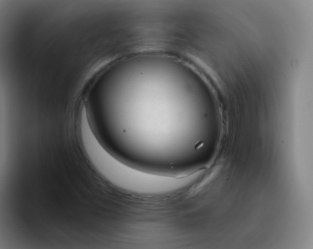 X0000094321453200711161920