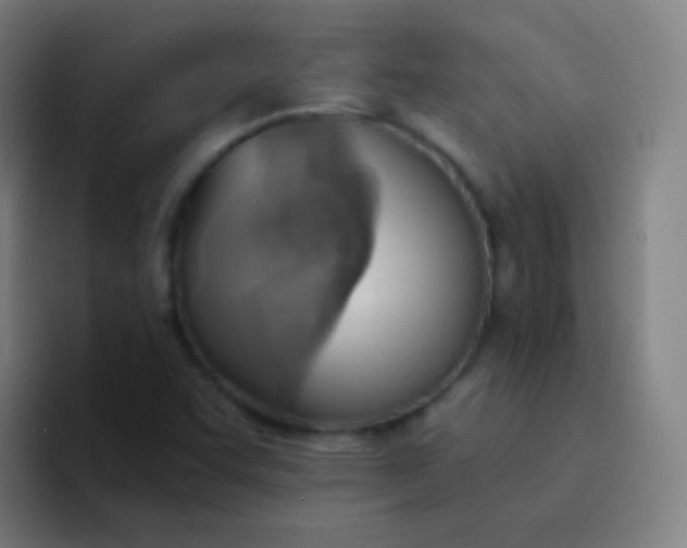 X0000094321455200711161920