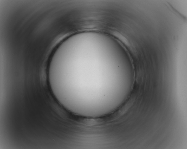 X0000094321458200711161920