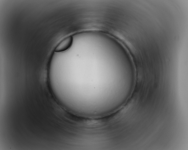 X0000094321459200711161920