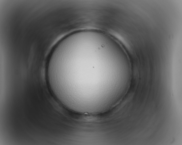 X0000094321460200711161920