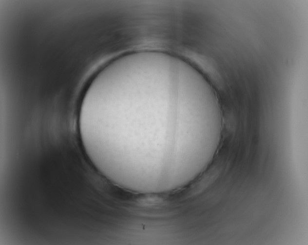 X0000094321462200711161919