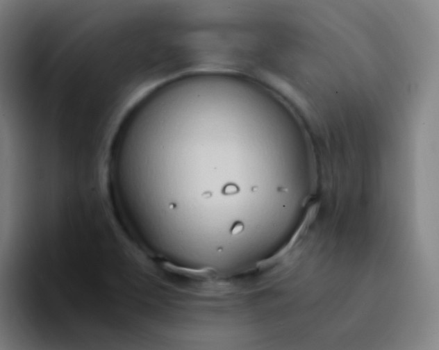 X0000094321463200711161919