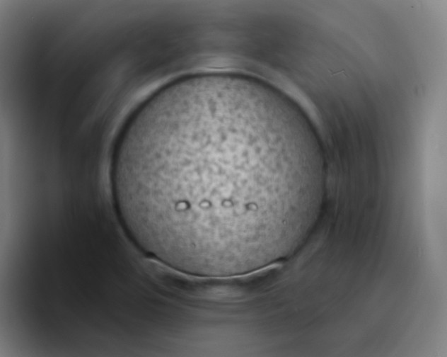 X0000094321464200711161919