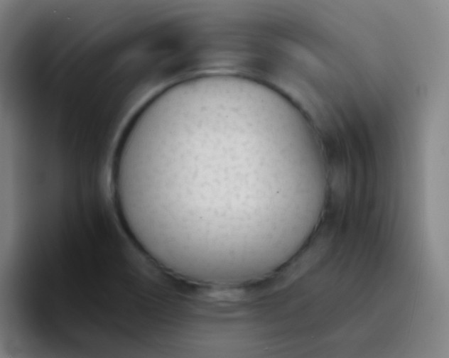 X0000094321466200711161919