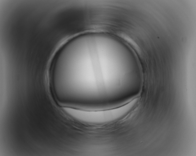 X0000094321467200711161919