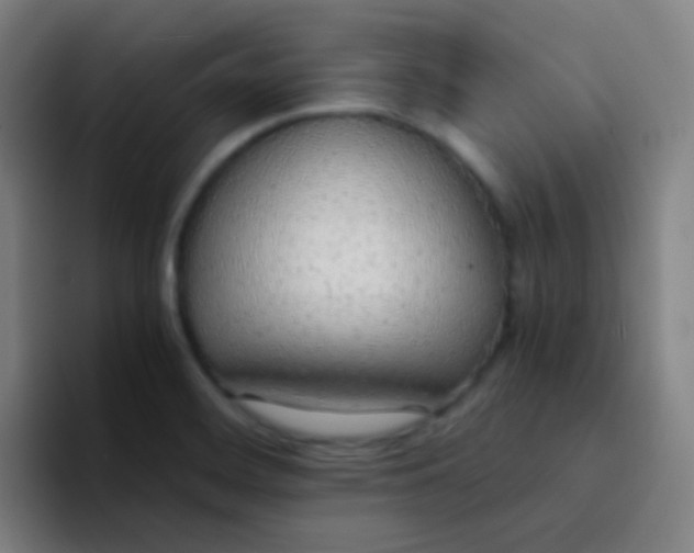 X0000094321468200711161919