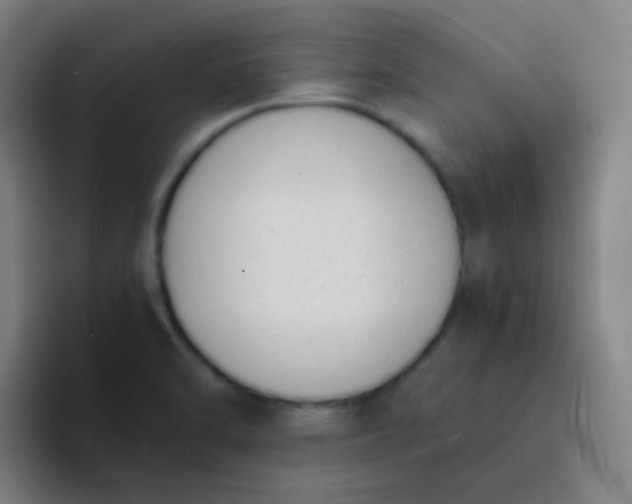 X0000094321470200711161919