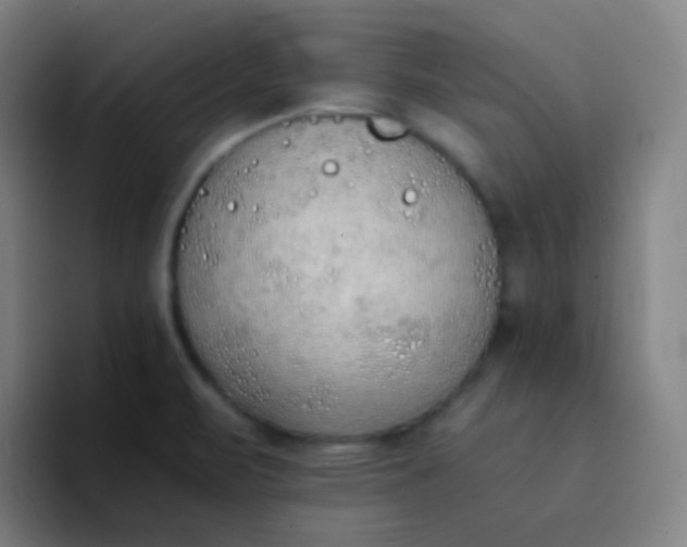 X0000094321471200711161919
