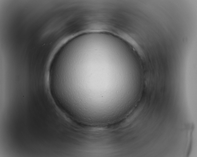 X0000094321472200711161919