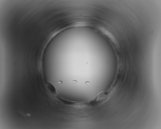 X0000094321473200711161919