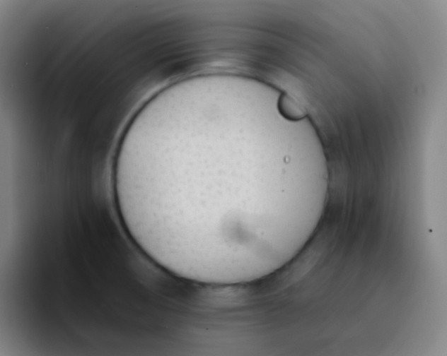 X0000094321474200711161919