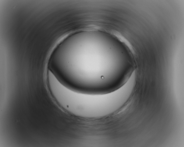 X0000094321477200711161919