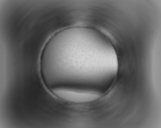 X0000094321479200711161919