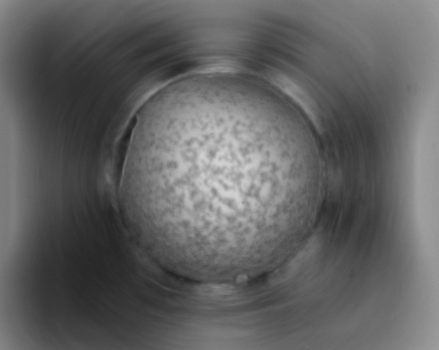 X0000094321481200711161919