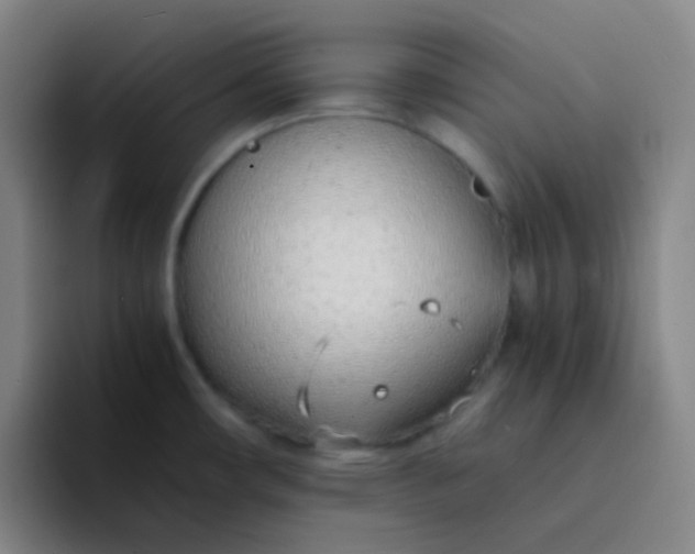 X0000094321482200711161919