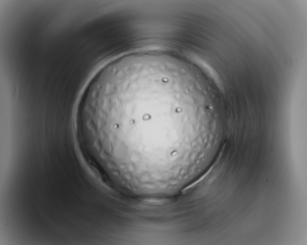 X0000094321483200711161919