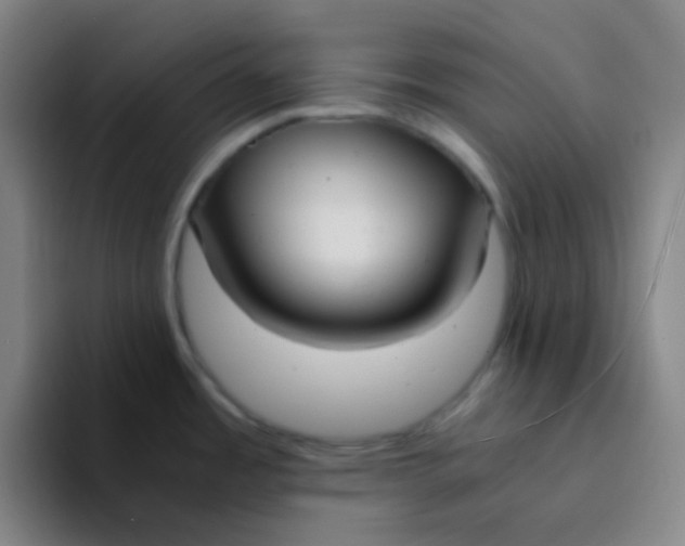 X0000094321485200711161919