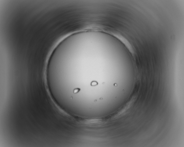 X0000094321486200711161919